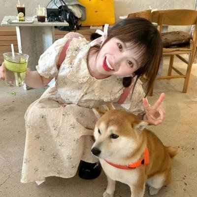 爱之针